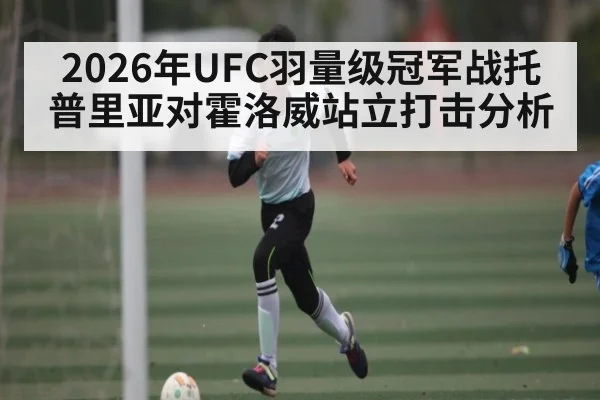 2026年UFC羽量级冠军战托普里亚对霍洛威站立打击分析